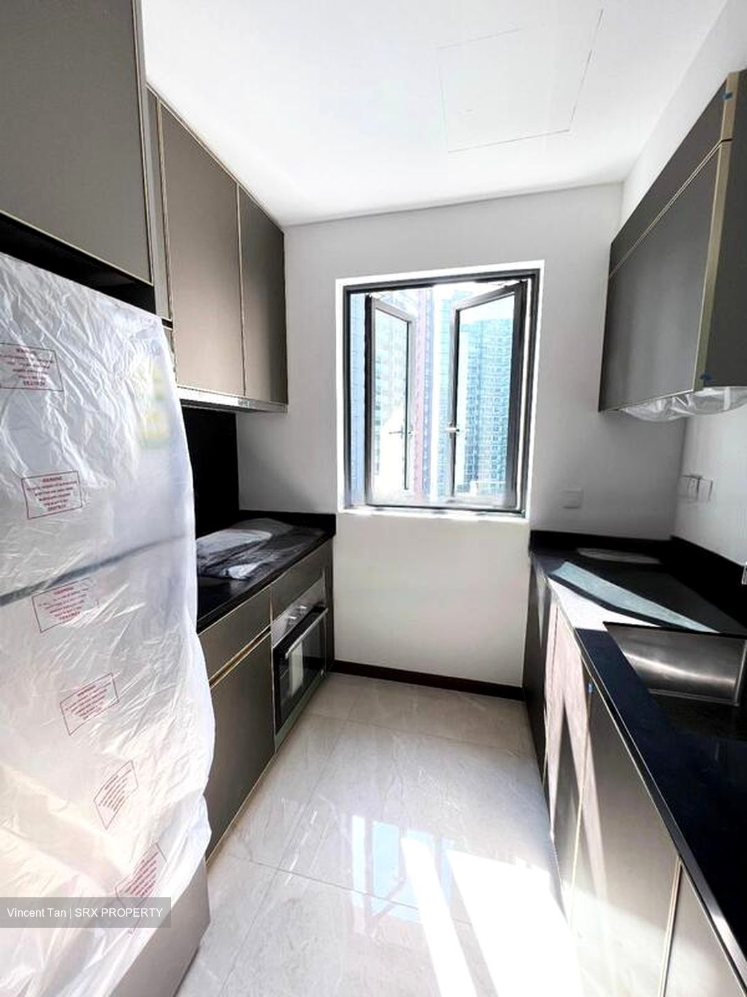 Normanton Park (D5), Apartment #461318051
